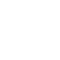 100+ Expert Instructors Icon